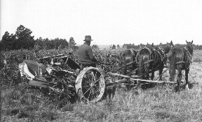 farming