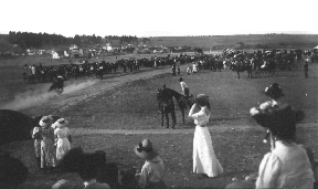 horsrace